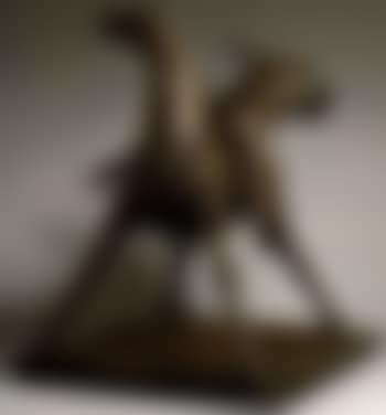 Rider (preview)