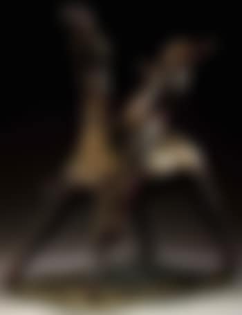 Little rider (preview)