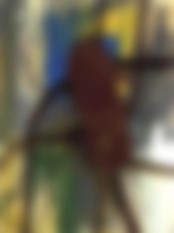 Untitled (preview)