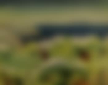 Monhegan Island (preview)