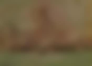New York city skyline (preview)