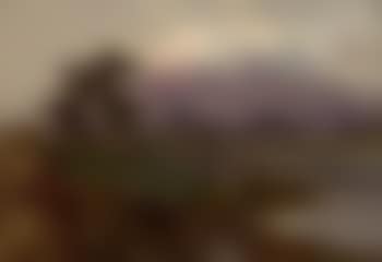 Mount Fuji. Torri Miyashima, Japan (preview)