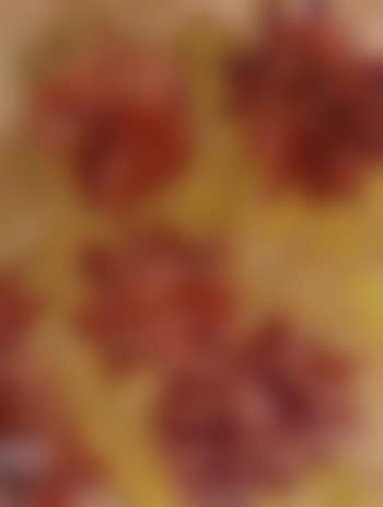 Red and yellow flowers (preview)