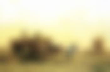 Hay cart (preview)