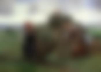Hay harvesters (preview)