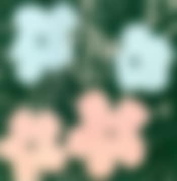 Andy Warhol, flowers (preview)