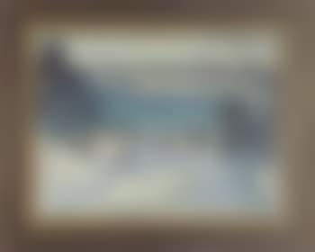 Robinhood Cove, winter (preview)