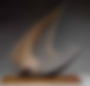 Stringed figure (preview)
