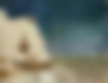 Seaford cliffs (preview)