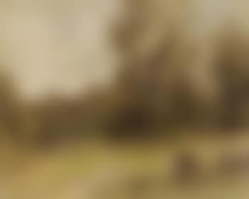 La coupeuse d'herbes (preview)