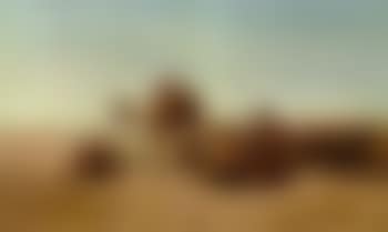 Resting in the desert (preview)