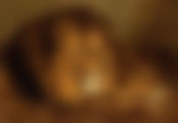 A lion and a lioness (preview)