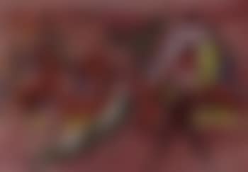 Red landscape (preview)