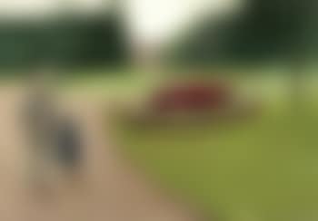 Le parc de la propriete Caillebotte a Yerres (preview)