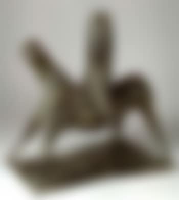 Little rider (preview)