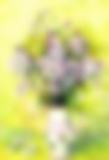 Saponaires et mauve (preview)
