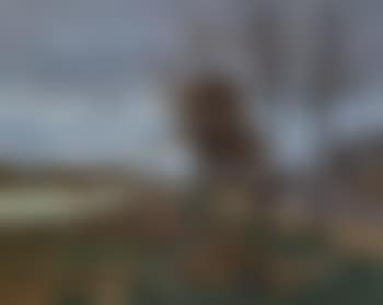 La Seine (preview)