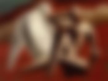 Leda and the swan (preview)