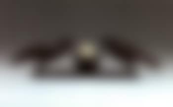 Lampe aux deux oiseaux (preview)