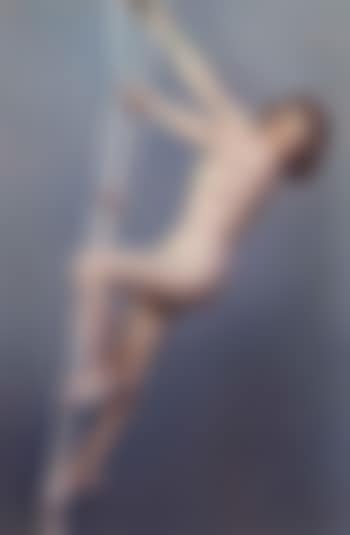 Nude on a ladder (preview)