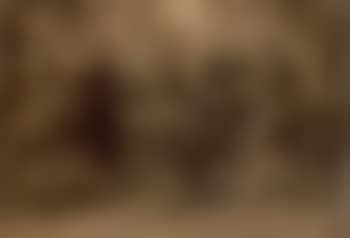 Cavaliers au bois (preview)