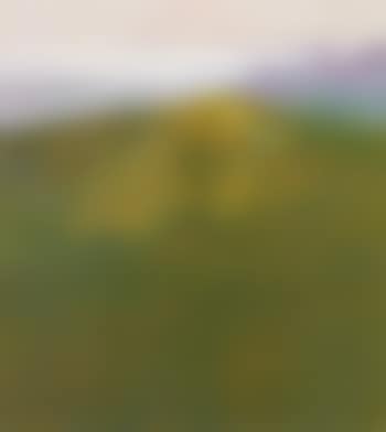 View of Malibu no.1 (preview)