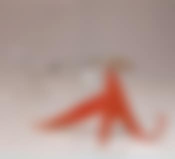 Curly red (preview)