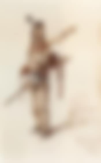 Indian warrior (preview)