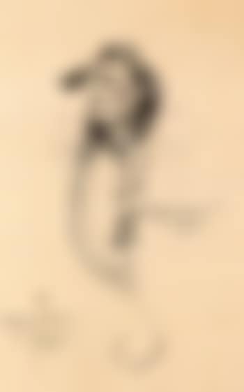Portrait of Indian (preview)