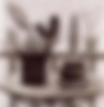 Cactus on terrace (preview)