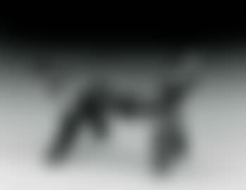 Horse no I I (preview)