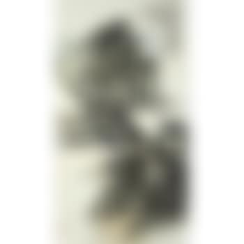 Landscape (preview)