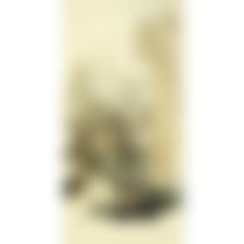 Landscape with pine trees (preview)