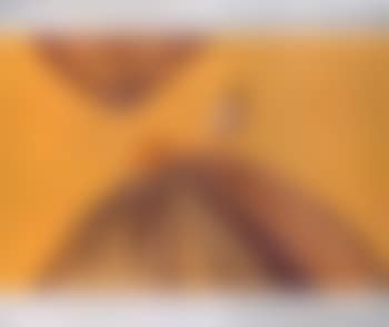 Mountain and bird (preview)