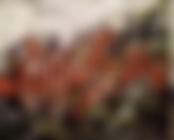 Red landscape (preview)