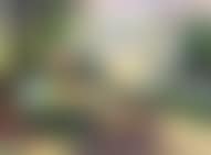 Table by the lake (preview)