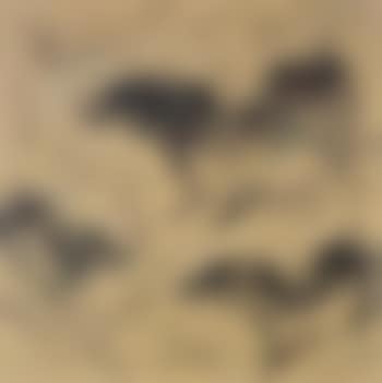 Boars (preview)
