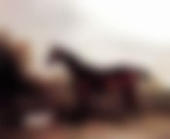 Chestnut hunter with a terrier (preview)