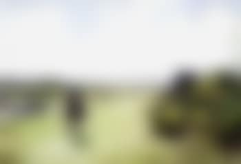 Curragh (preview)