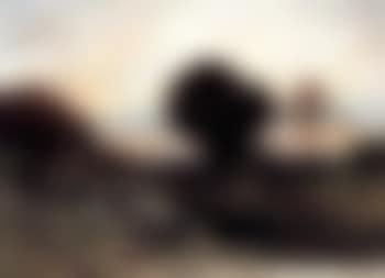 Landscape at sunset (preview)