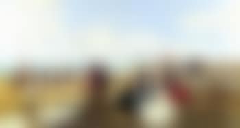 An afternoon on the beach (preview)