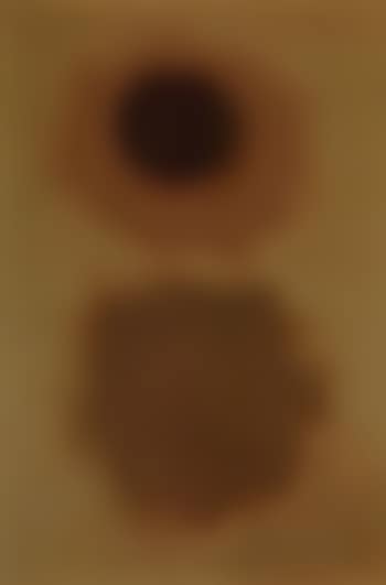Abstract (preview)