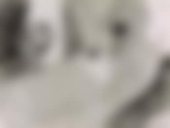 Great American nude no.57 (preview)