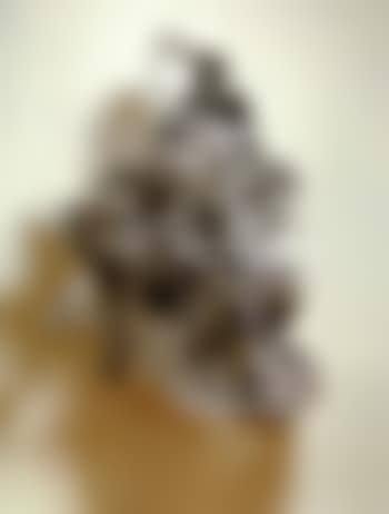 Untitled (preview)