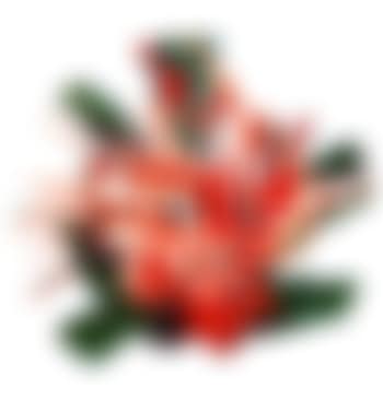 Pink flower (preview)