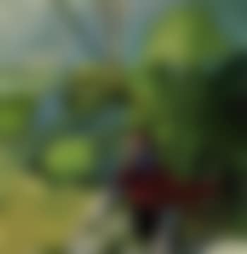 Woman with flowers (preview)