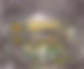 Hidden spring (preview)
