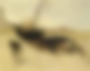 Fishermen with dray on a beach with wooden boat (preview)