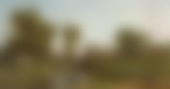 Summer landscape with cows grazing by a watermill (preview)