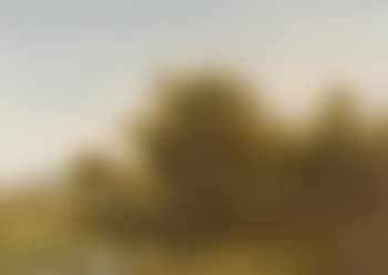 An angler in a summer landscape (preview)